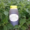 Shampoing à l'Ortie Bio